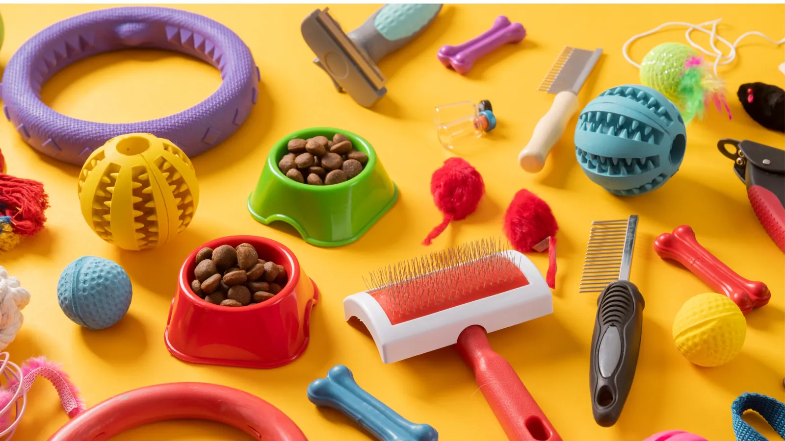 Trouver un expert-comptable pour une animalerie en ligne