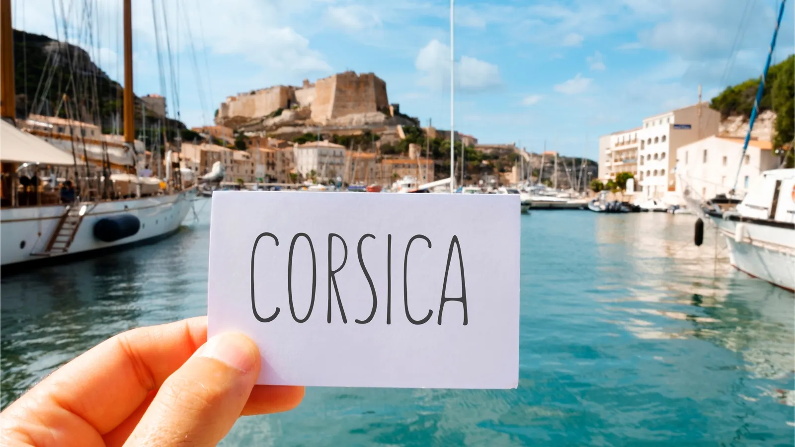 Trouver un expert-comptable pour une boutique en ligne de produits corses