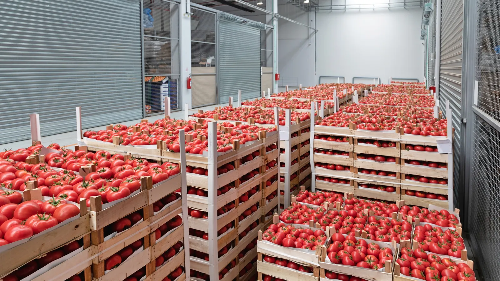 Trouver un expert comptable pour un commerce de gros alimentaire