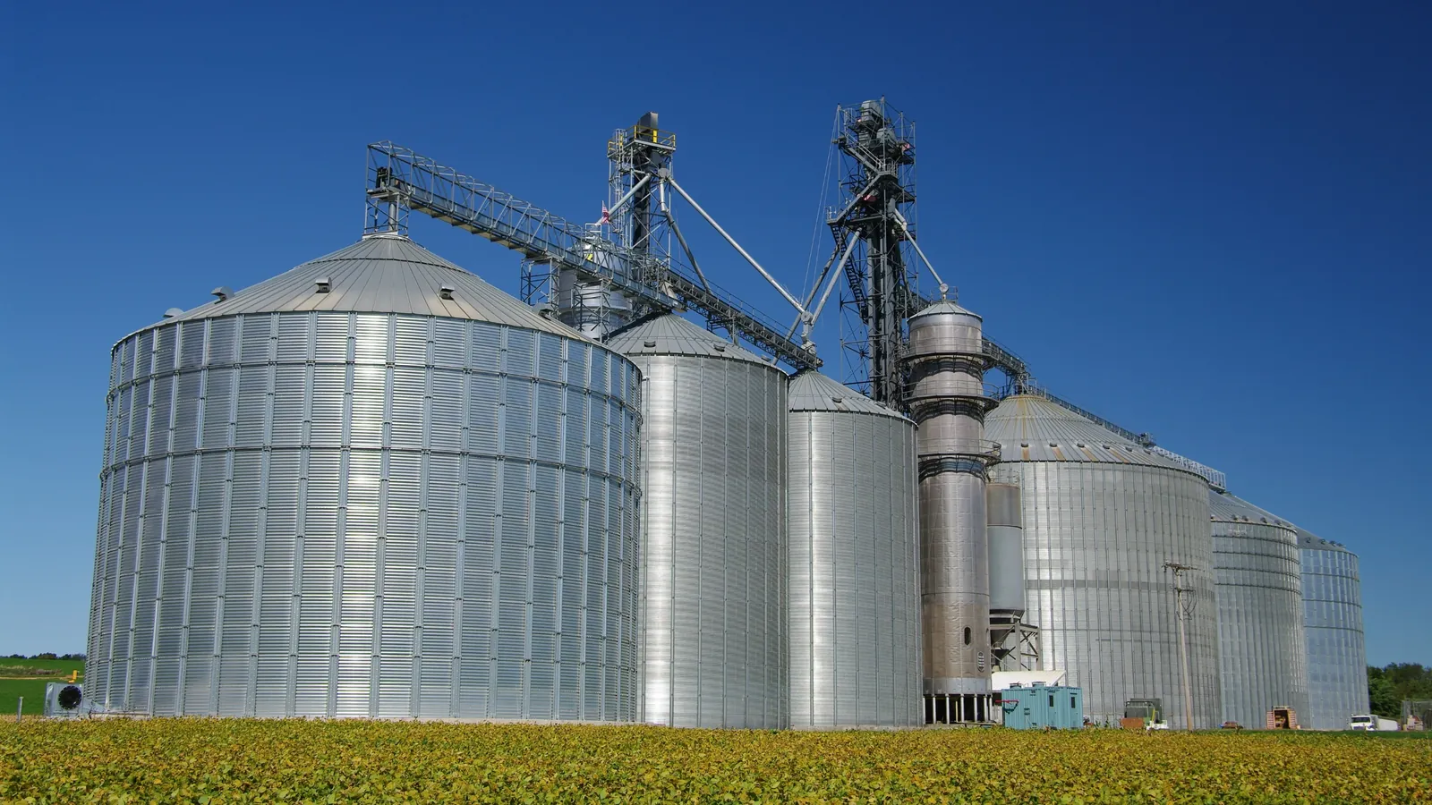 Trouver un expert-comptable pour une coopérative agricole