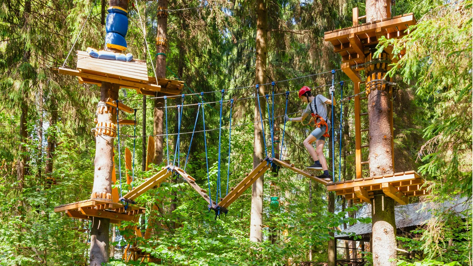 Trouver un expert-comptable pour un parc d&rsquo;accrobranche