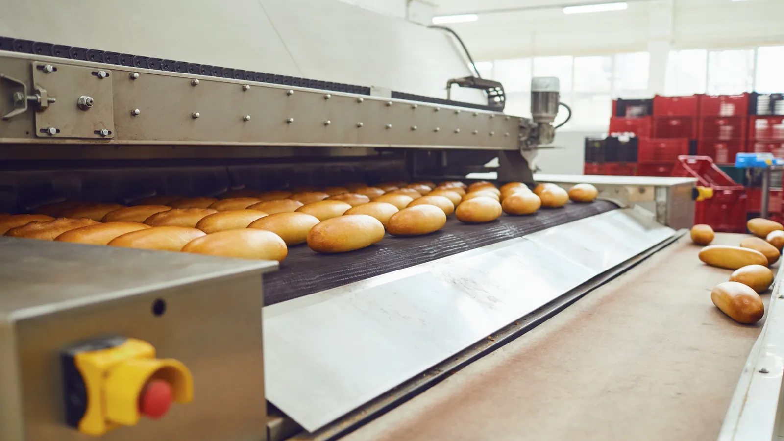 Trouver un expert-comptable pour une usine à pain