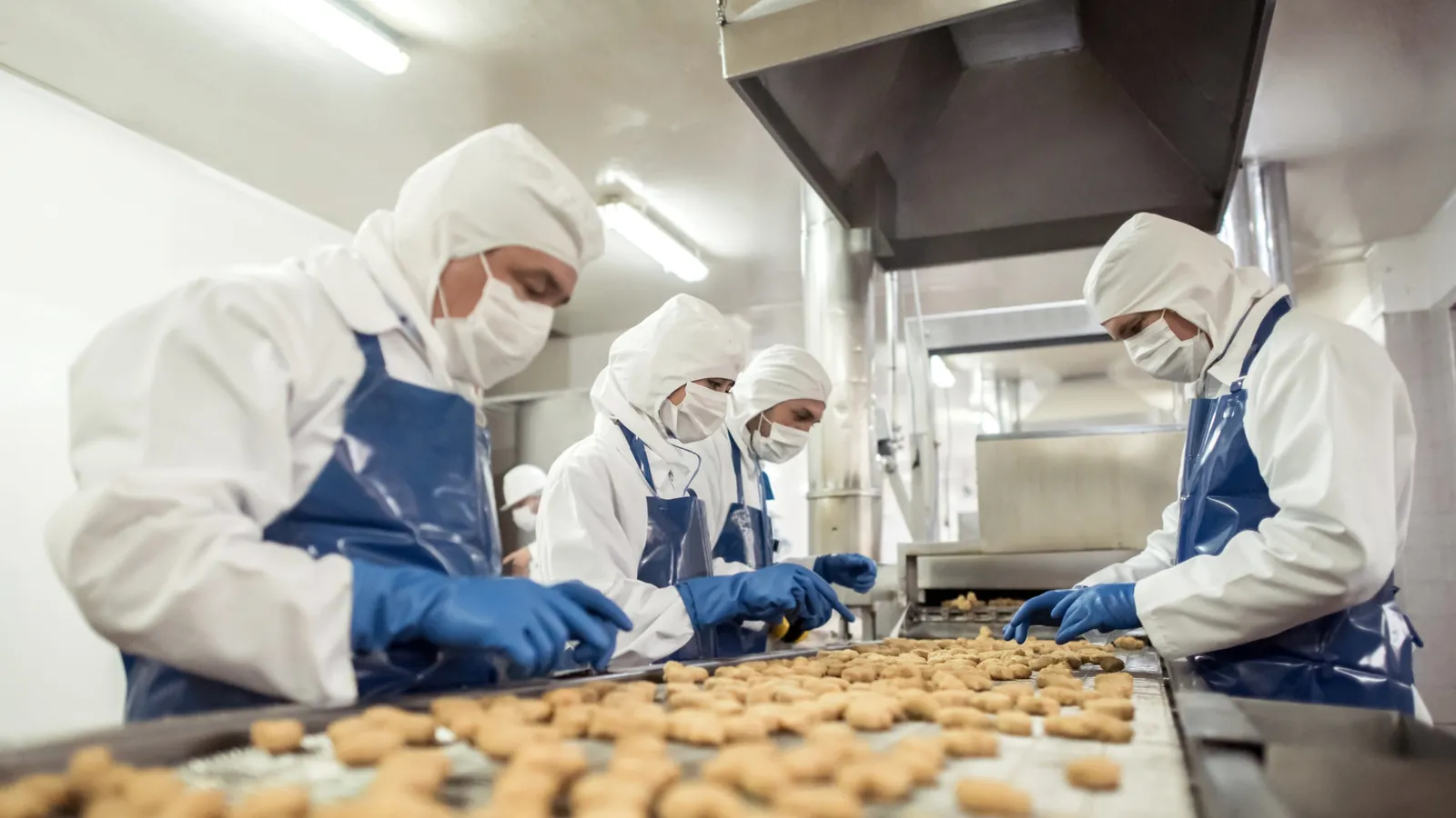 Trouver un expert-comptable pour une usine agroalimentaire