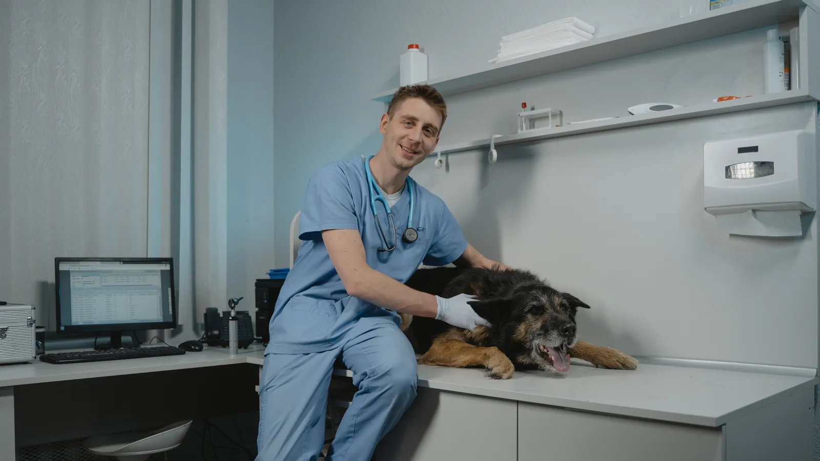 Trouver un expert-comptable pour un vétérinaire