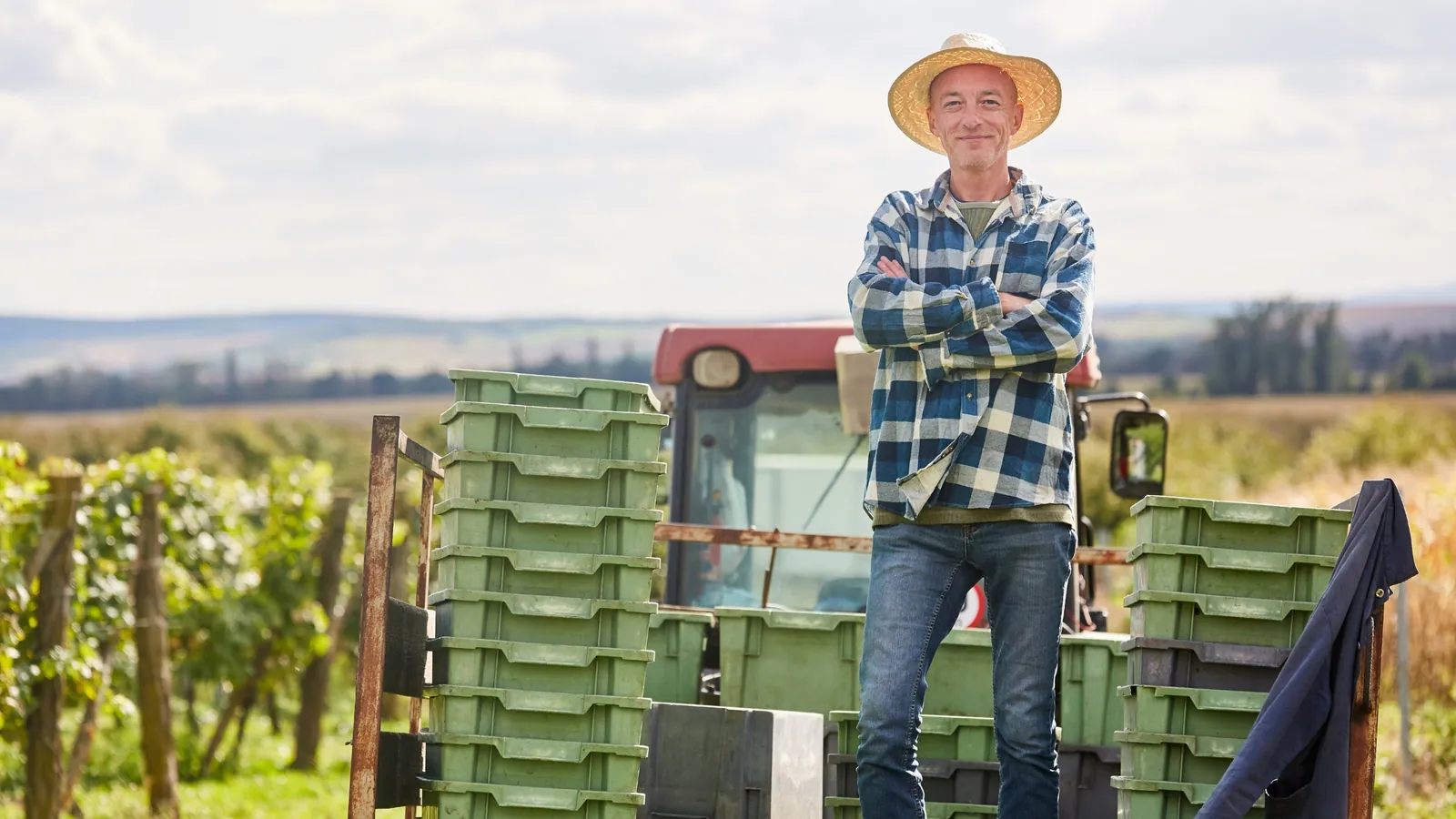 Trouver un expert-comptable pour un viticulteur
